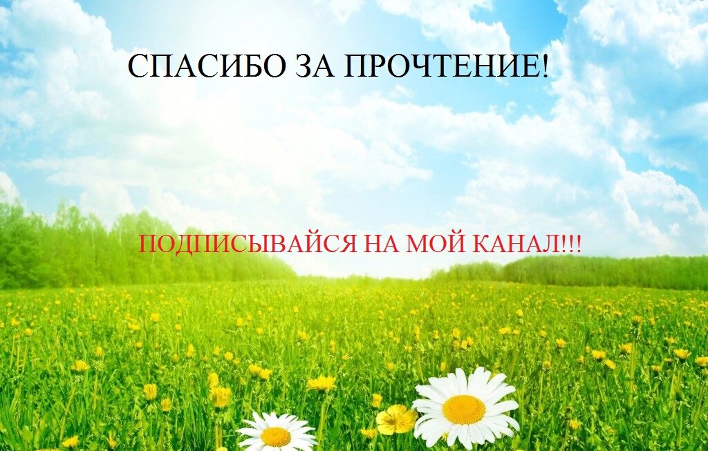 Подписывайтесь на мой канал! 