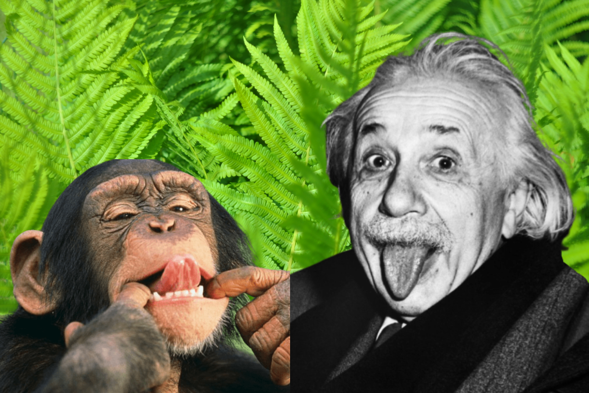 Картинка: Малява от Лоренца