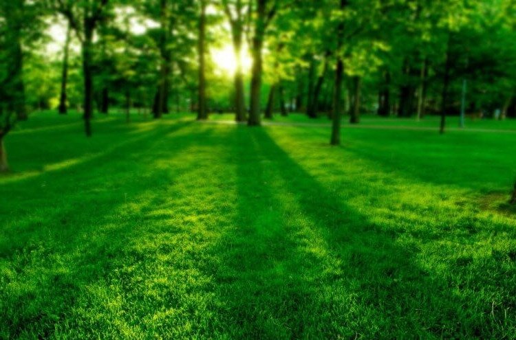 Великолепное место для прогулок
