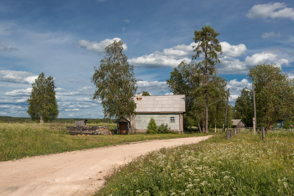 Русская деревня. Пусть старые дома, иногда опустевшие. Но нравится мне они.  Показываю наш русский север. | IvanDementievskiy . | Дзен