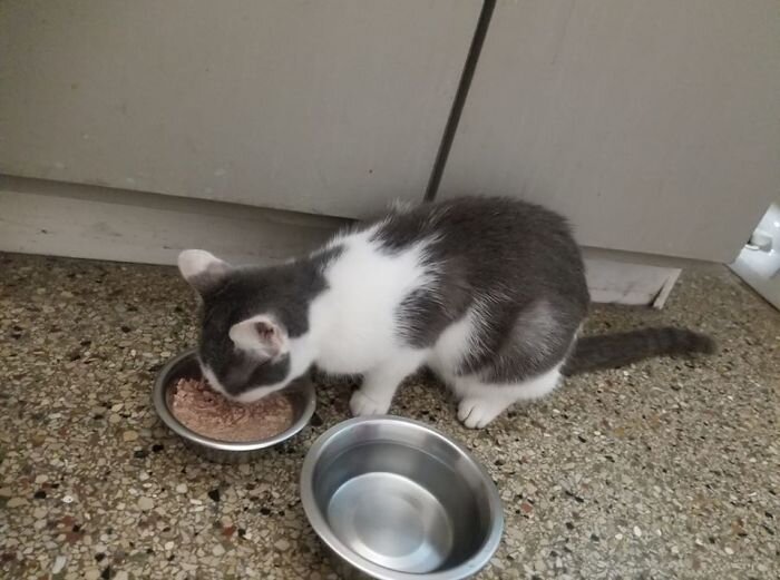 Взято с сайта BoredPanda.com 