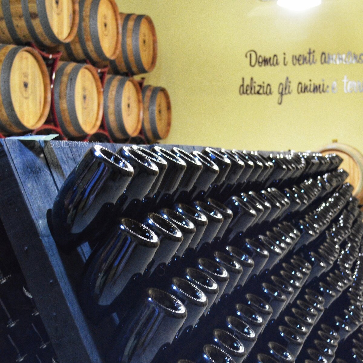 Так выдерживаются на осадке игристые вина