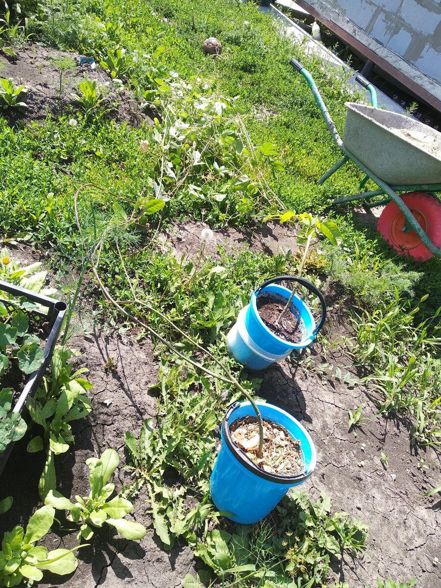 Приехали на новое место