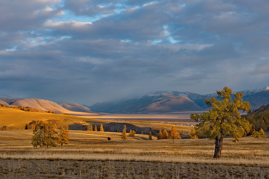 Фото: Shutterstock