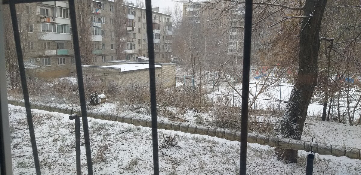 Снежок выпал, красота!