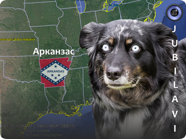 Работа автора, чтобы было понятно, где расположен штат Арканзас. 🚩