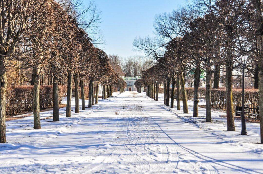 Парк усадьбы Кусково