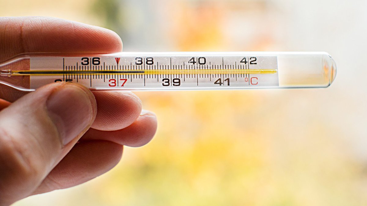 Картинка из Яндекс.Картинок