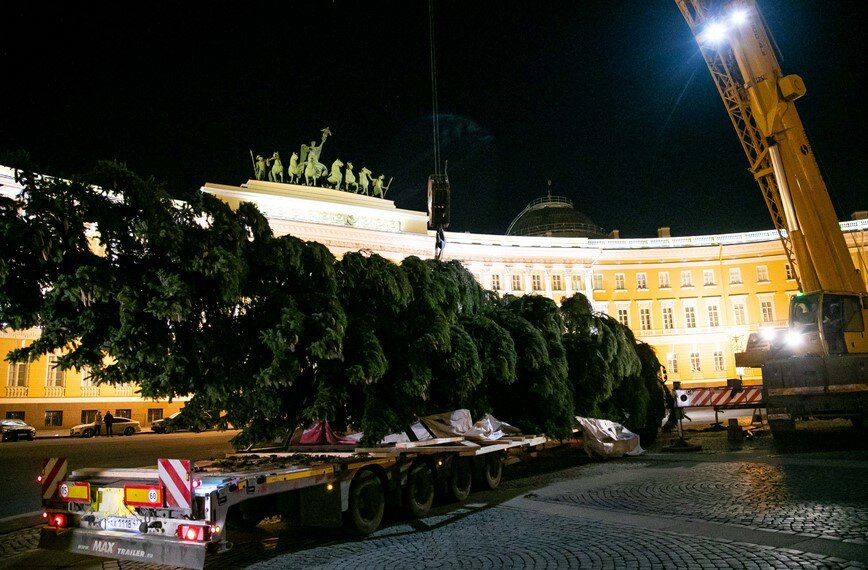 Источник фото: gorod-plus.tv