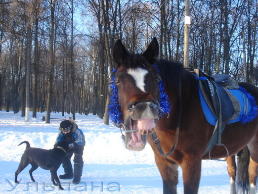 автозаводский парк. фото автора.