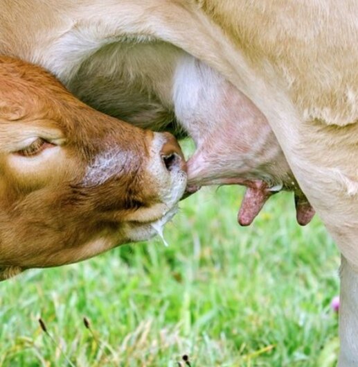 Скриншот: фото автора 