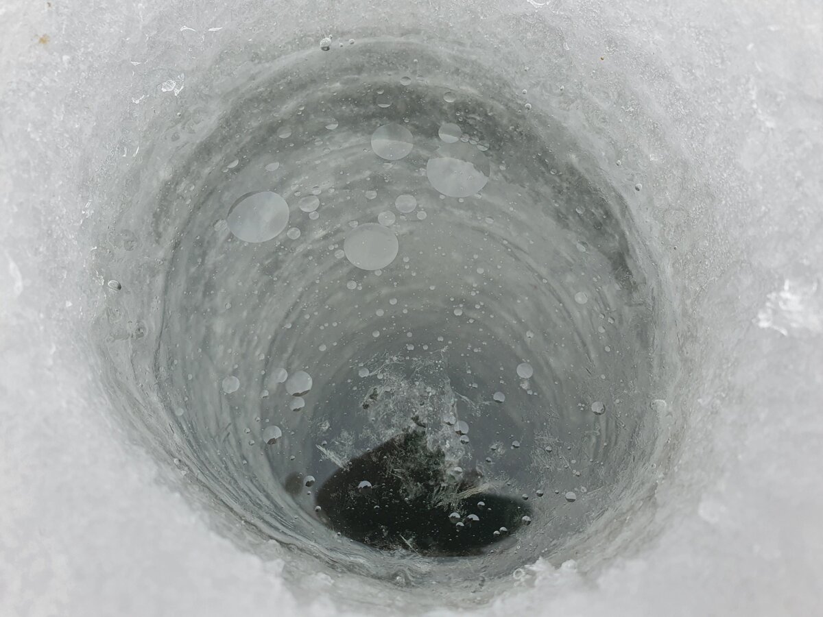 Замерзла подсолнечное масло. Вымерзание воды. Замерзшее подсолнечное масло. Способы от замерзания лунки. Грязь в воде замерзает последней.