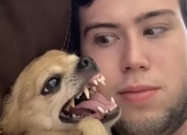 Джози и её хозяин Миша 