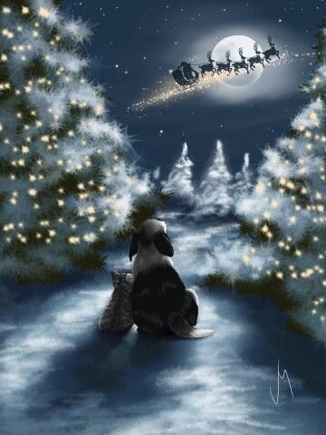 Источник: https://fi.pinterest.com/pin/603552787540644093/