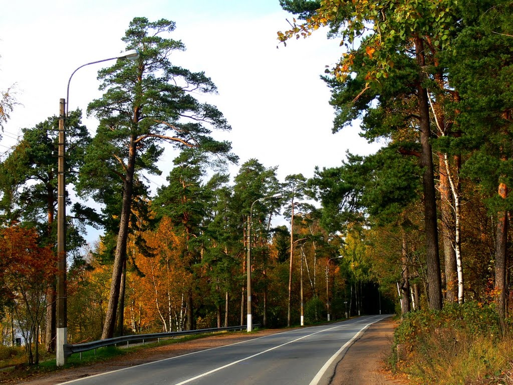 Приморское шоссе, Лен.область. Фото с сайта uk-z.ru