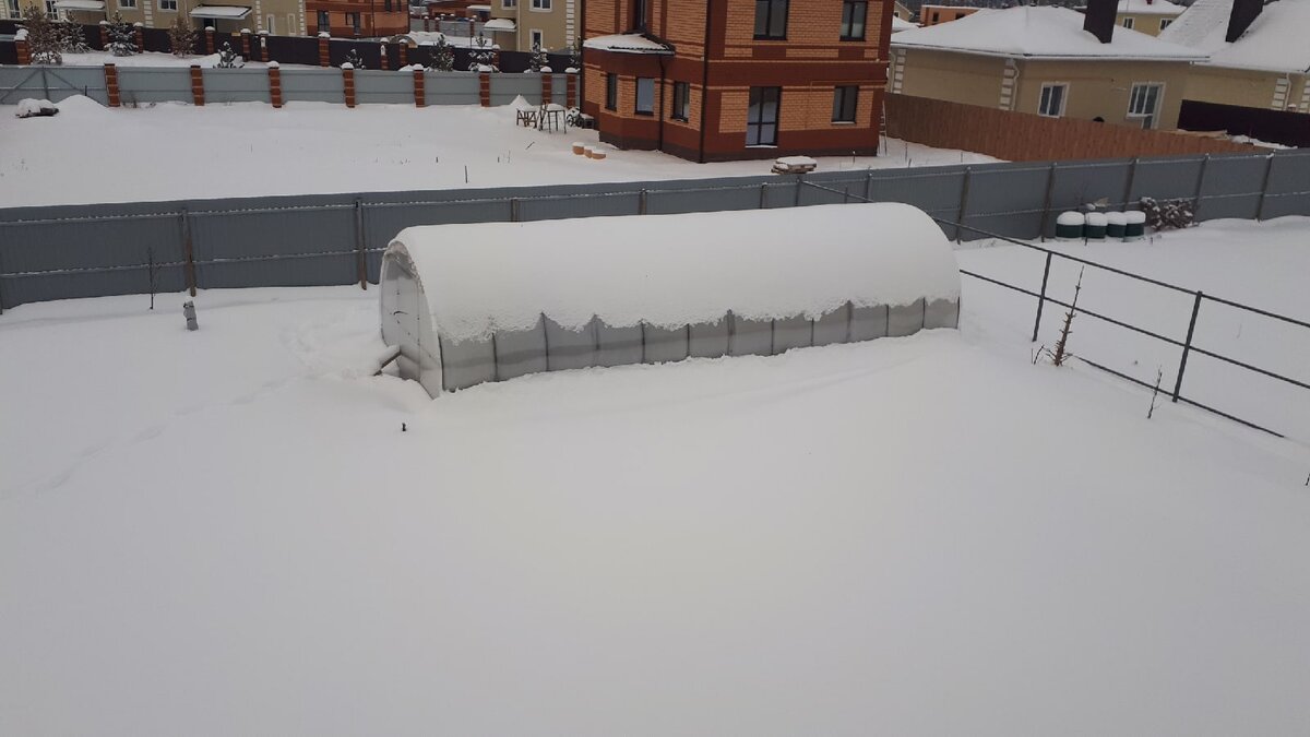 авторское фото Гор Багдасарян  