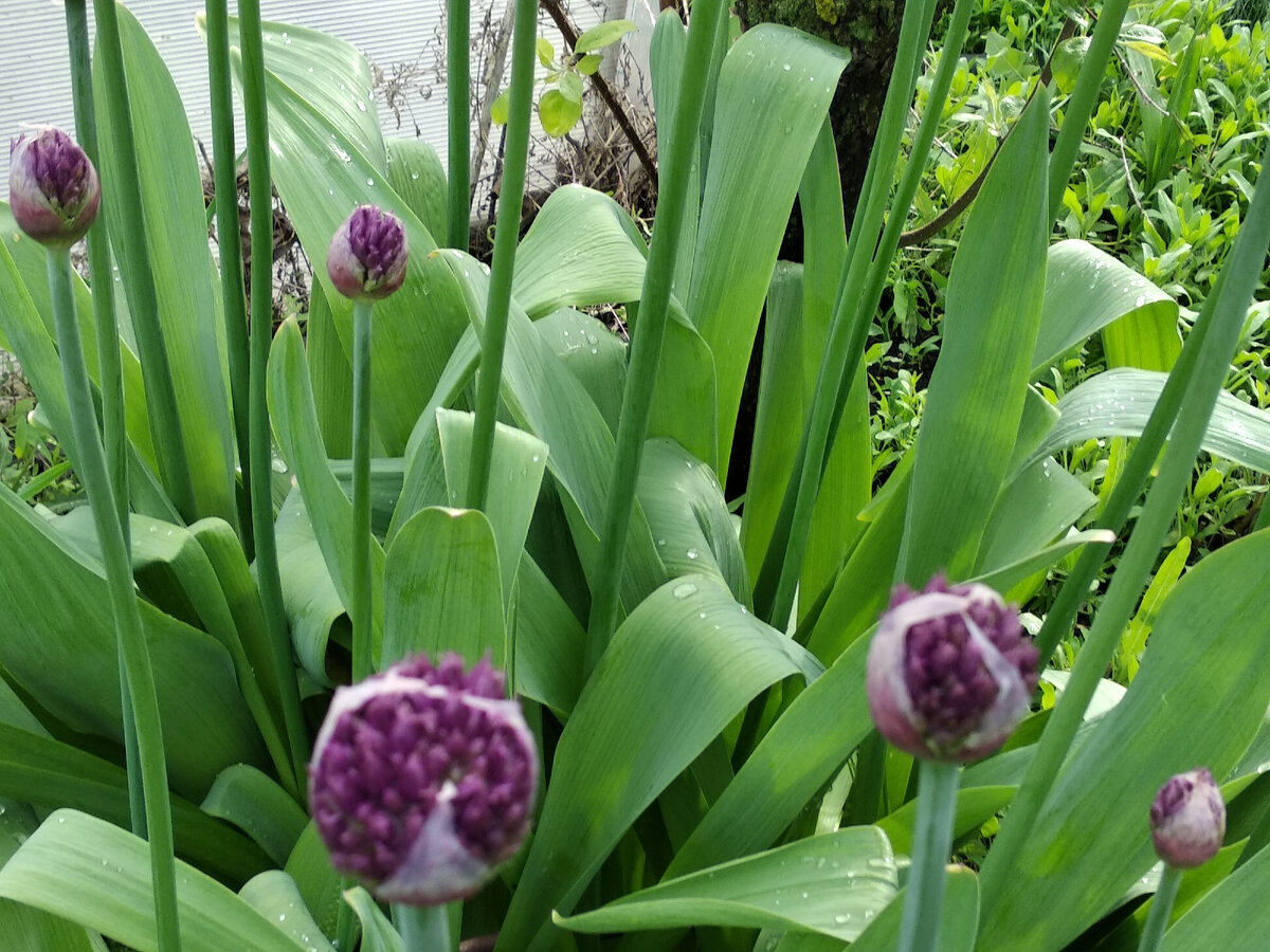 фото автор канала    Подписывайтесь на канал!