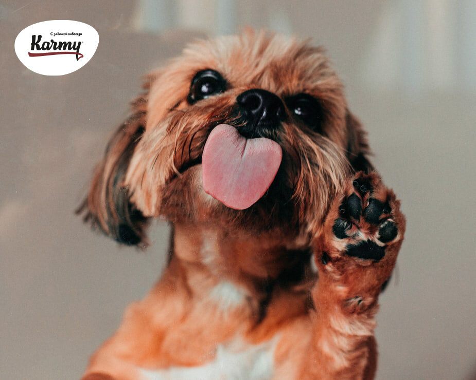 Авторское изображение с использованием картинки с фотостока "Unsplash"