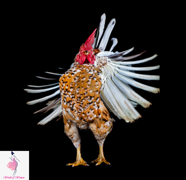 Фото с сайта https://worldofwomen.club/