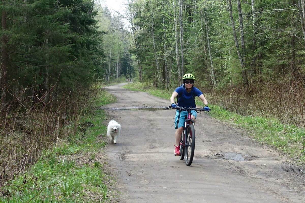 В лесу. Спортсмены