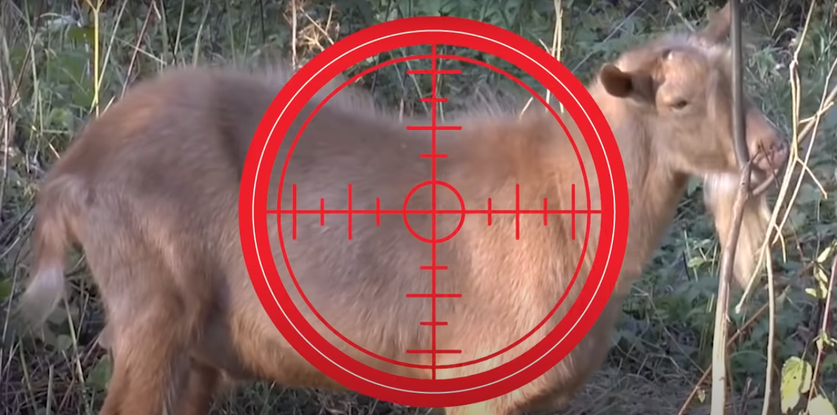 одно государство объявила войну козлам