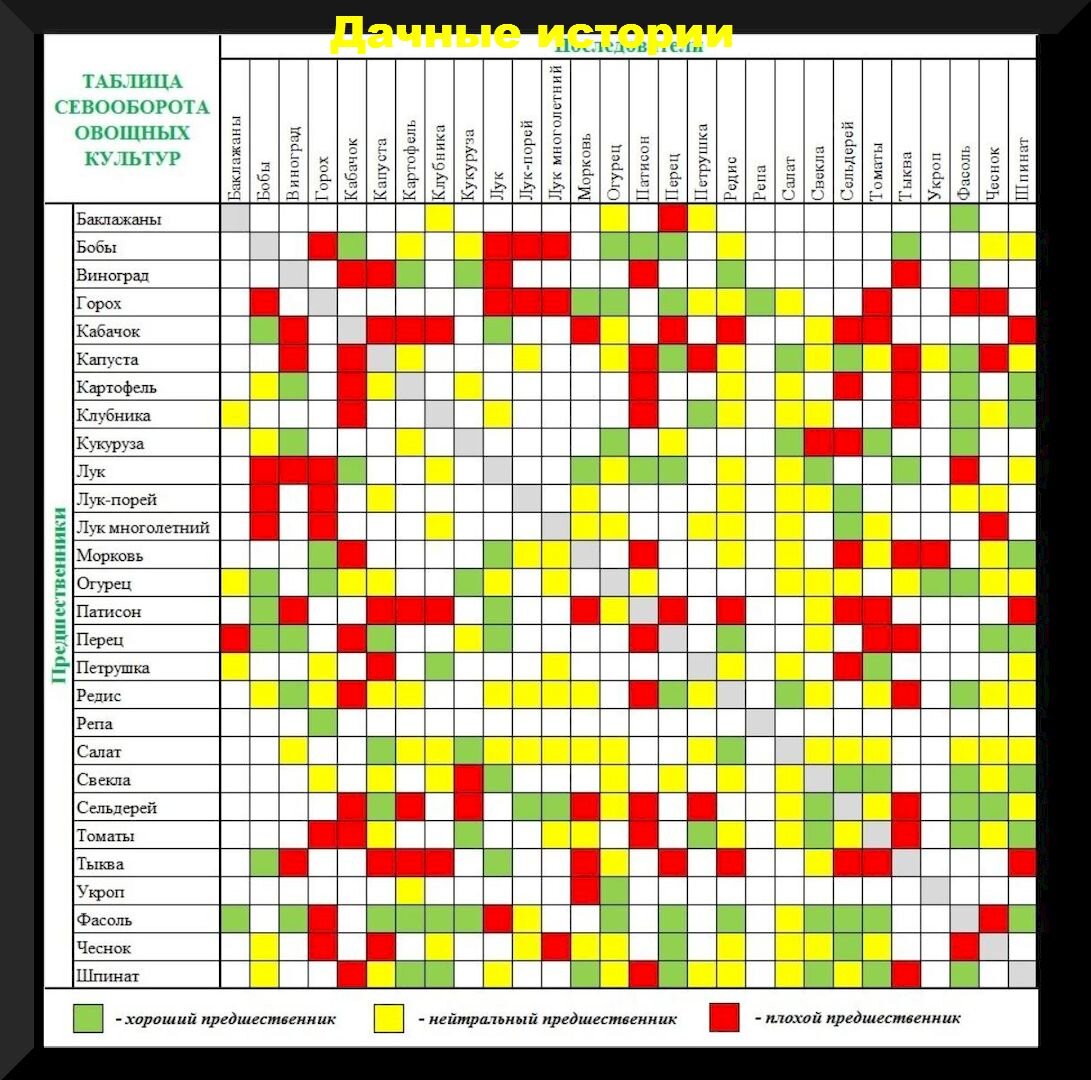 Таблица севооборота на огороде предшественники овощных. Посадка овощей предшественники таблица. Совместимость посадок овощей на грядках таблица. Предшественники сельскохозяйственных культур в севообороте таблица.