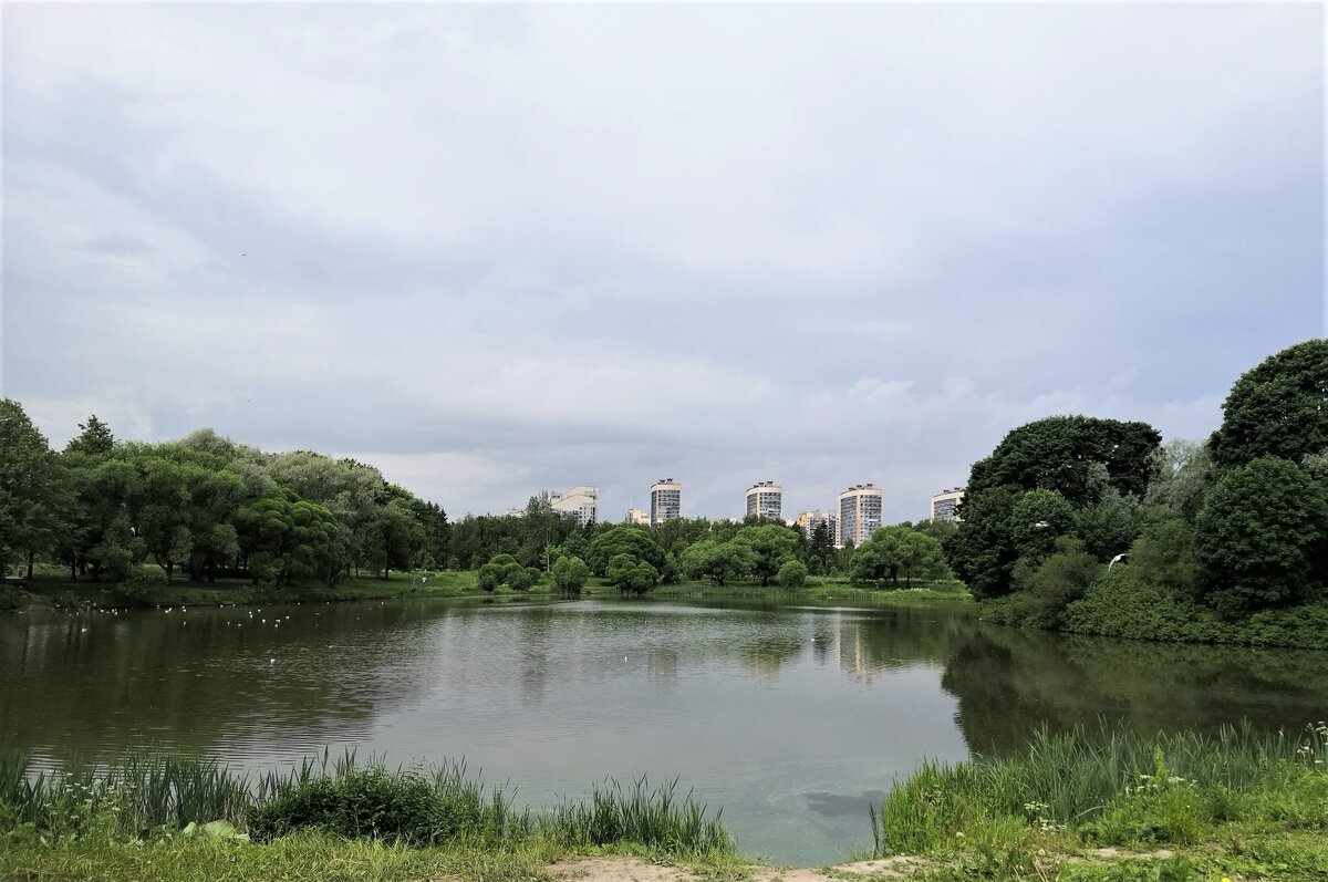 В Южно-Приморском парке