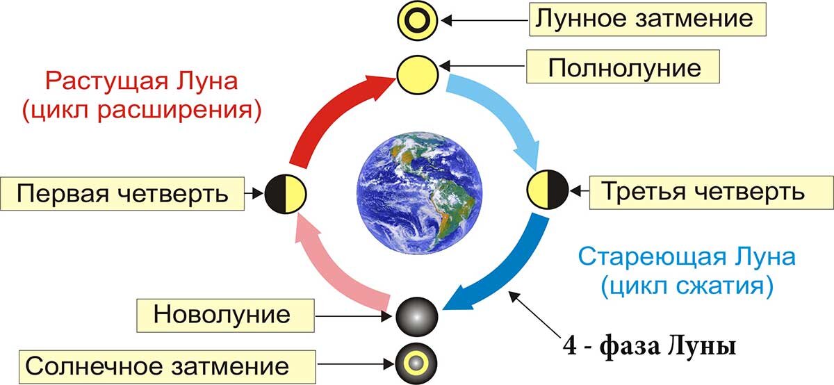 Циклы Луны схема. Цикл солнца и Луны. Фазы Луны схема. Луна циклы фазы. Как влияет новолуние