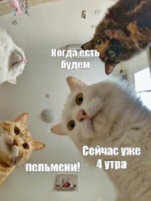 Много спать-вредно, а лишний раз поесть-никогда не помешает!