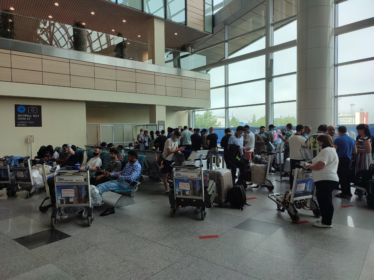 Домодедово. Очередь на экспресс тест.  С тележками не считаются, они просто сидят )))