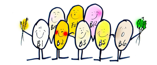 Группа витаминов B. Эта "Команда Мечты" из восьми витаминов слажено работает помогая организму функционировать. Среди них нет начальников – они все важны