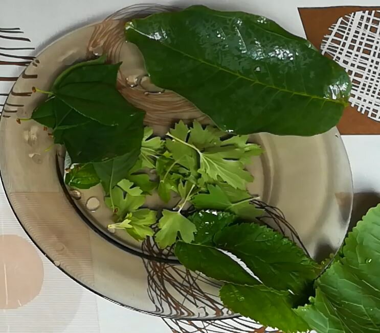 Зелень в банку 