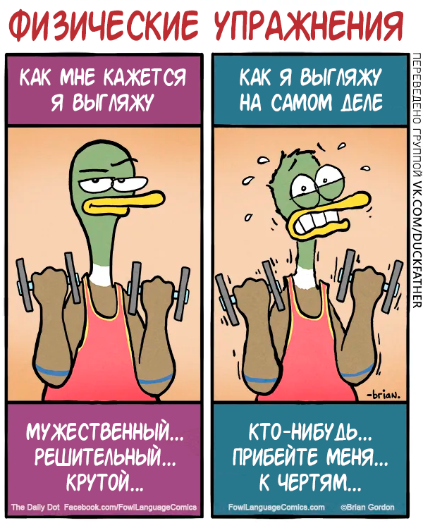 "Физические упражнения"