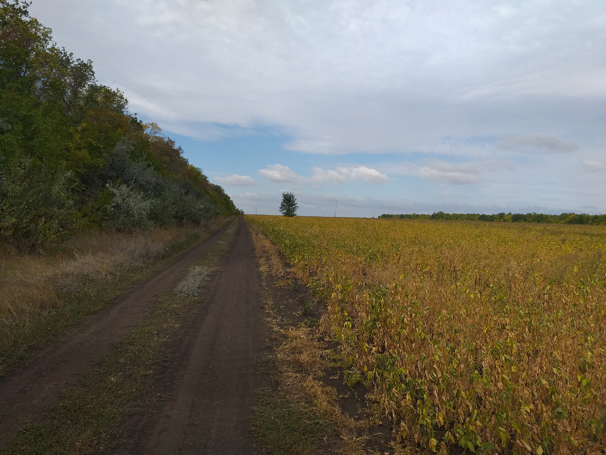 Фото автора. Наша планета.