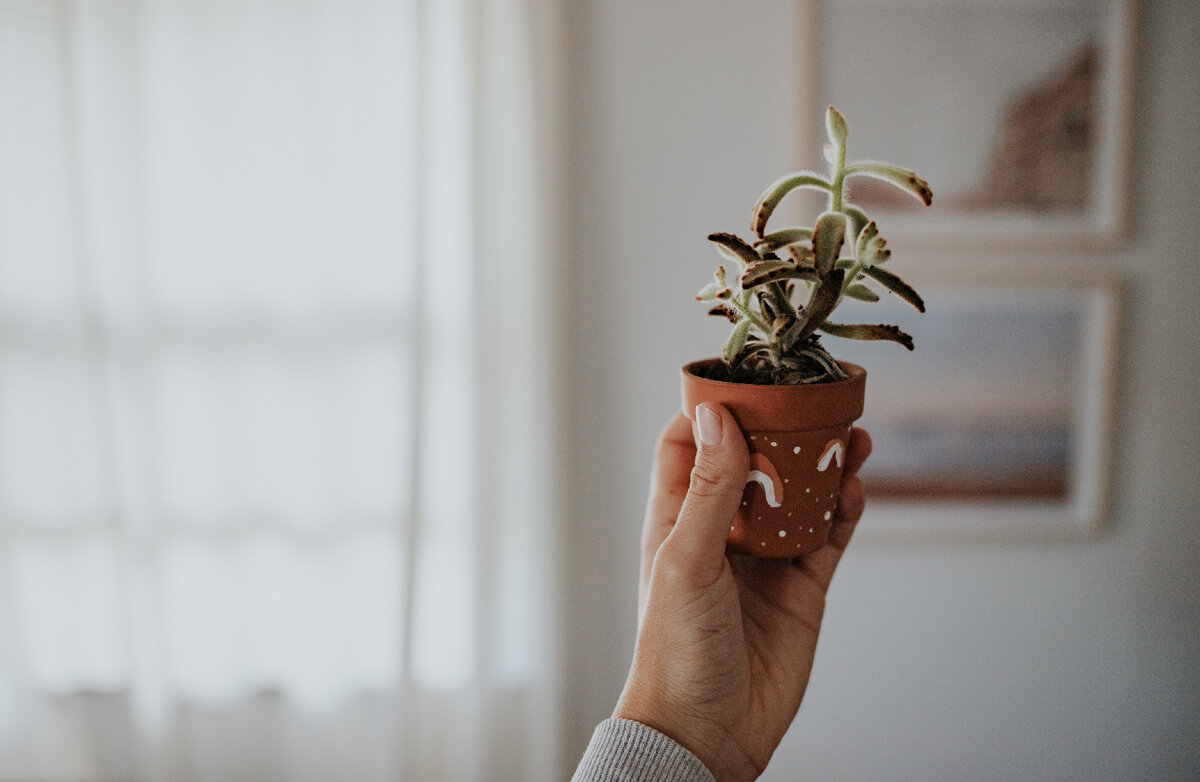 Фото: Debby Hudson 