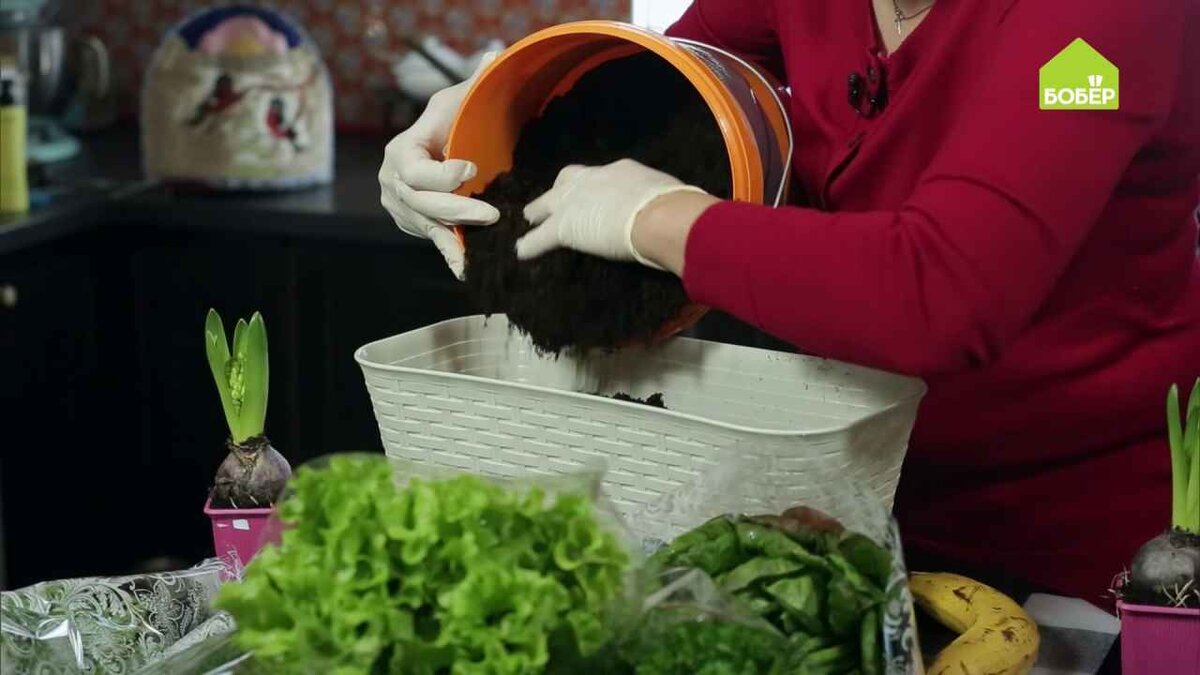 Насыпьте в кашпо грунт.