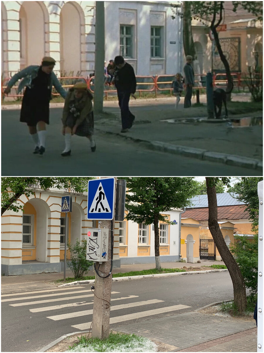 1981/2021