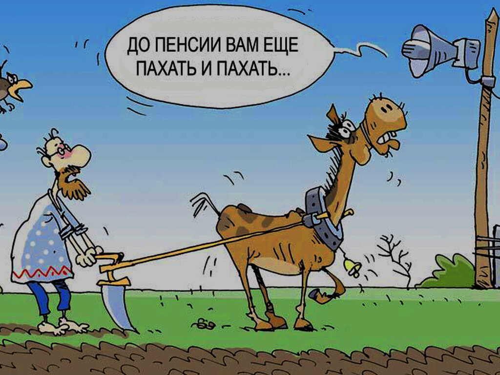 Картинка взята из открытых источников