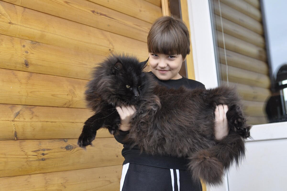 Маленький такой котик...