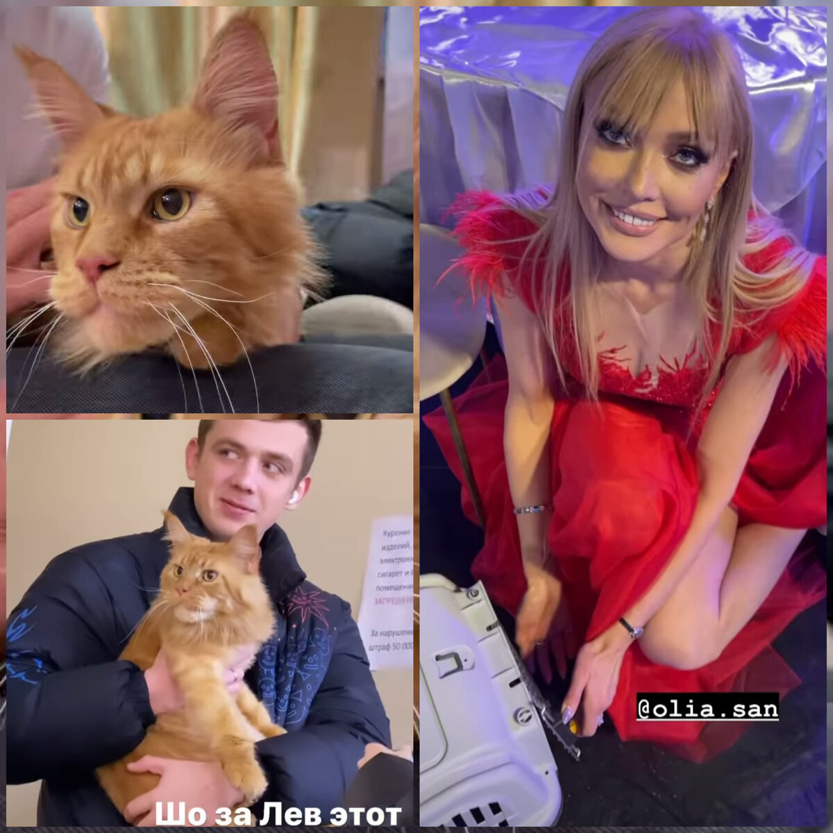 Источник: @gerkinsohn