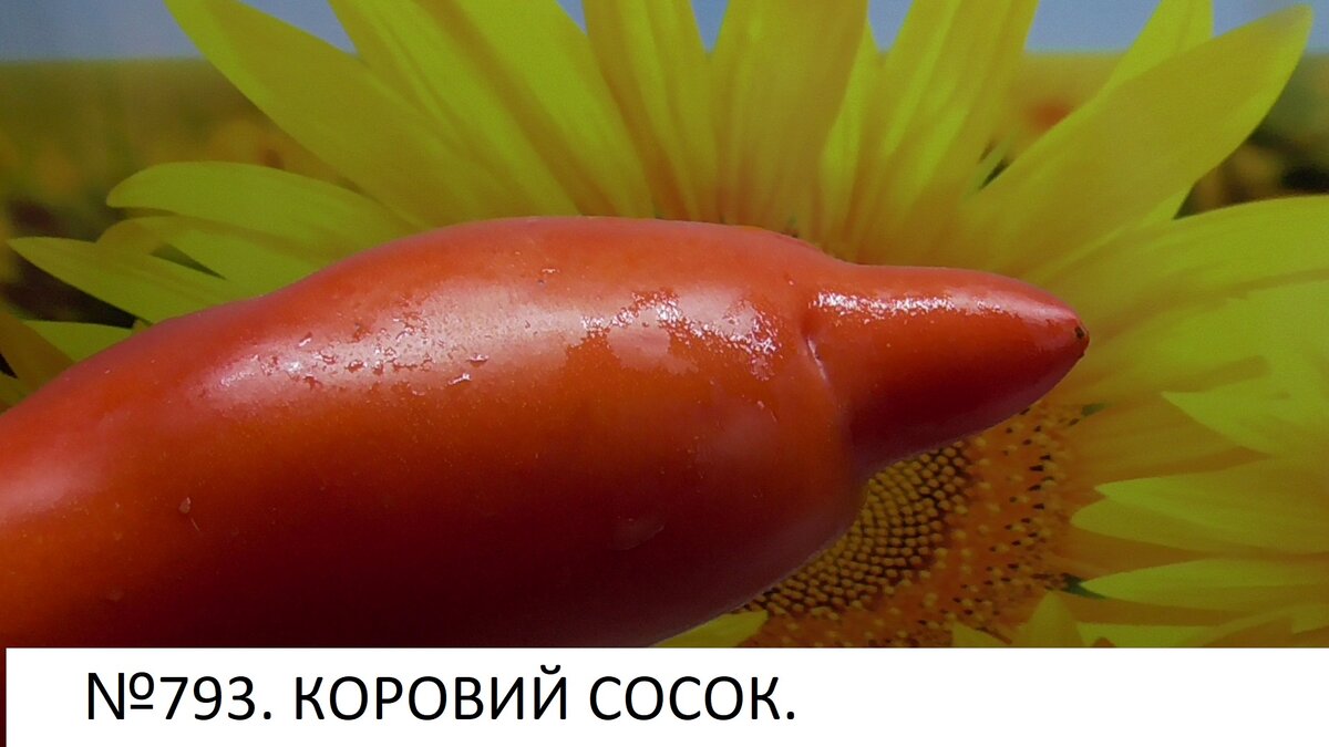-101