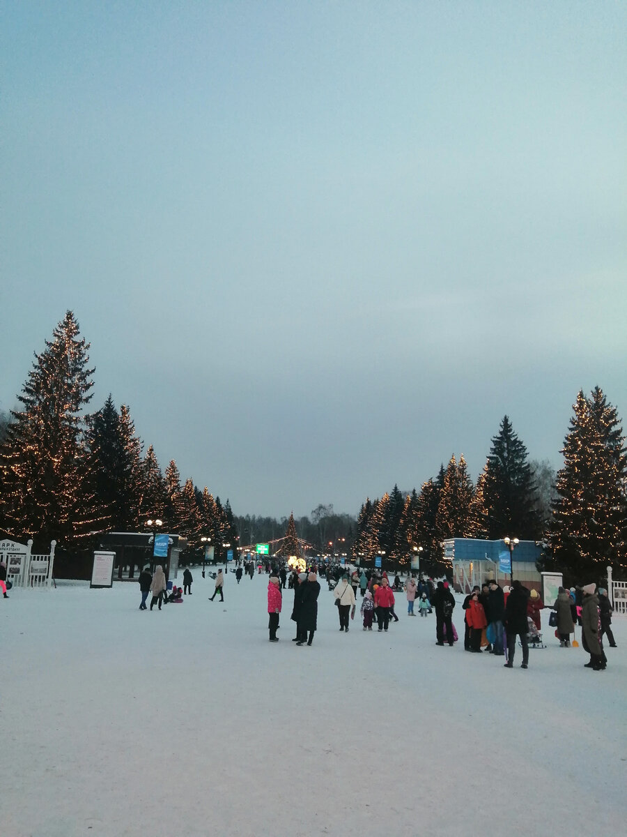 Каждая ёлочка в огоньках 😍😍😍