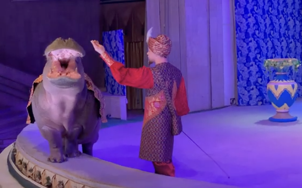 Это не театр, это не цирк, это театр зверей Дурова. 