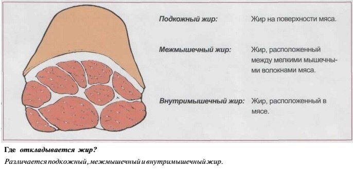 Фото из свободного источника