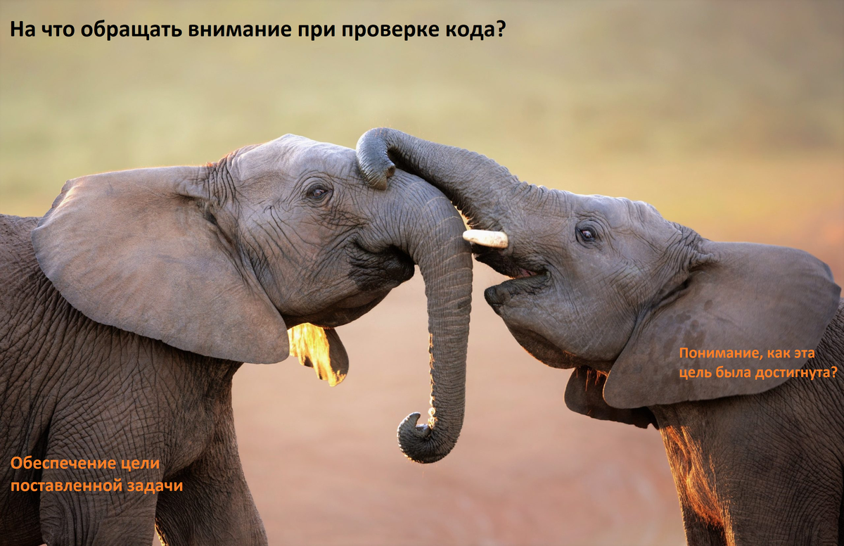 Проверка кода базируется на двух слонах - «Обеспечение цели поставленной задачи» и «Понимание, как эта цель была достигнута?»