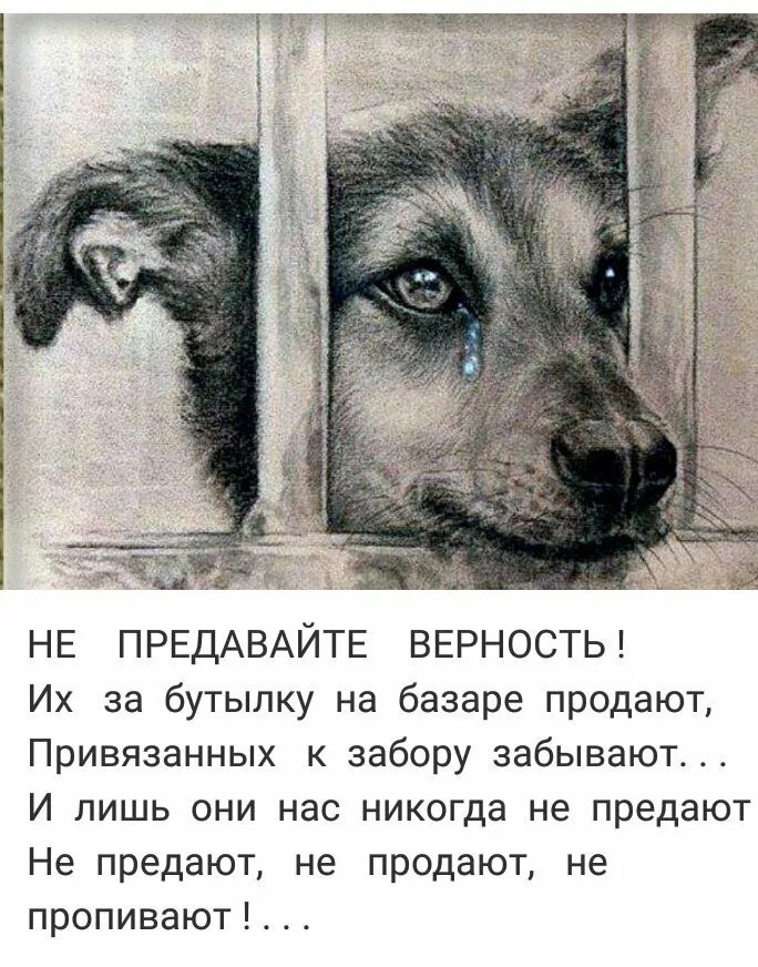 Грустная история 