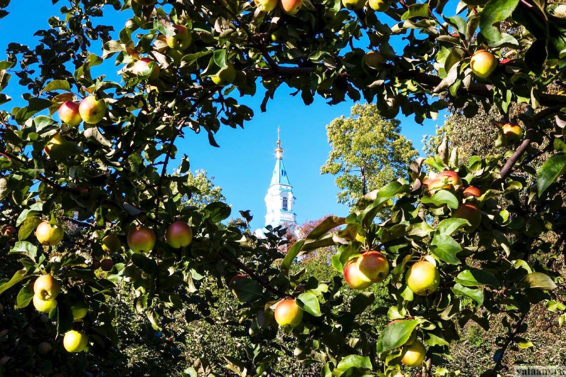 Фото с сайта Валаамского монастыря.