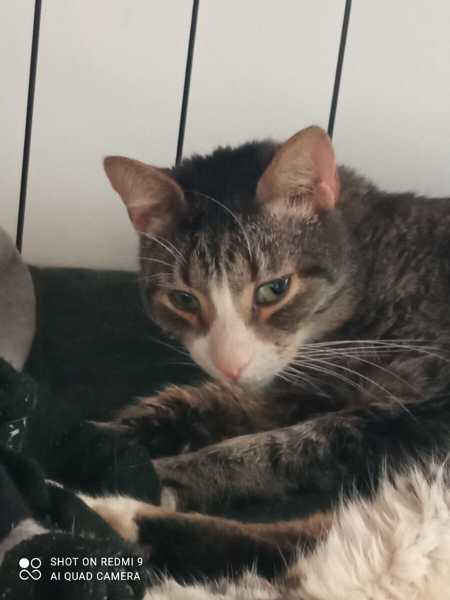 А что? Я ничего. Ем, сплю, жру. 