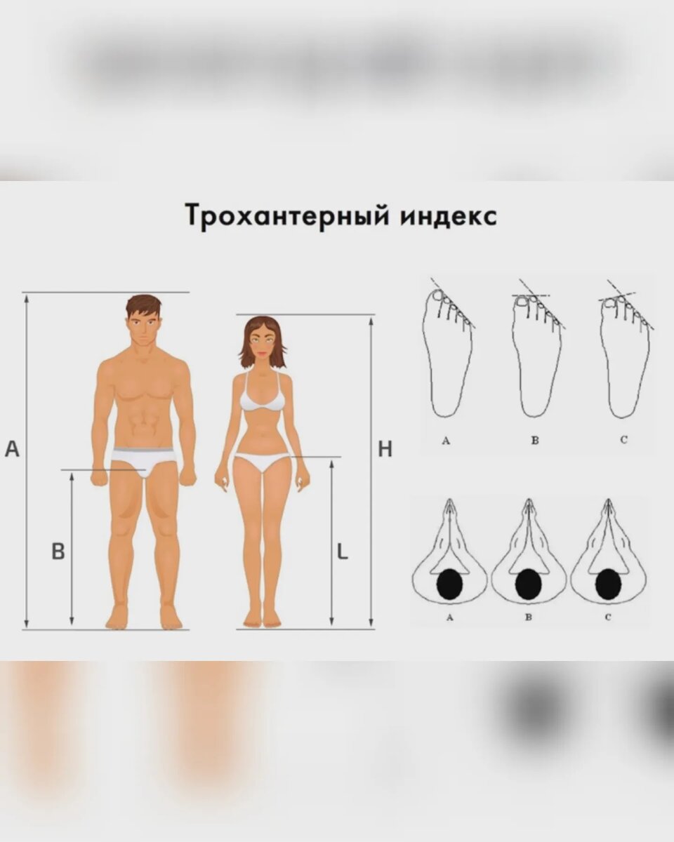 Определение половой конституции у мужчин и женщин