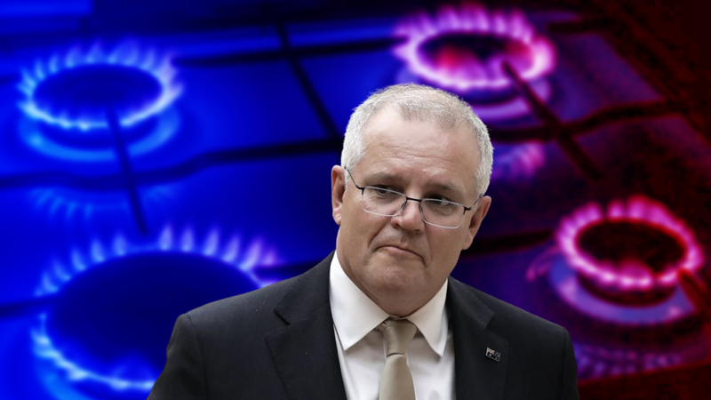 Австралийцы шокированы счетами за газ. Цена выросла в 80 раз. Почему растет цена в добывающей стране?